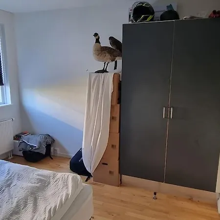 Apartment Newly Renovated Private With Free Parking *